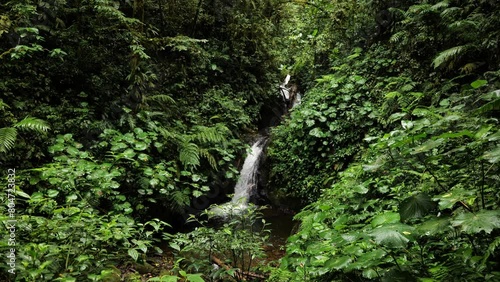 monteverde cloud forest a serene waterfall in costa rica SBV 346620091 4K  photo