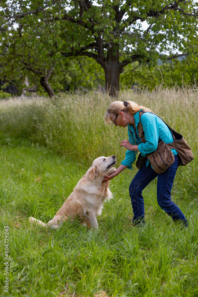 © Birgit Reitz-Hofmann - Golden retriever dog gives her paw
