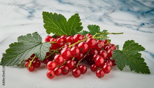 red currants isolated on the white background