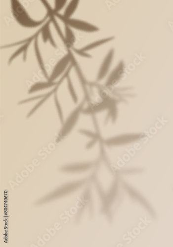 Palm Leaf Png Shadow. Vector Olive Tree Branch Background. Shadow Overlay and Light Effect. Mockup of Abstract Transparent Summer Branch Silhouette.