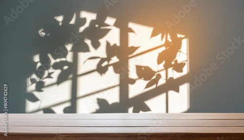 abstract window shadow with light effect overlay leaves shadow silhouette element object for spring summer overlay on mockup product presentation