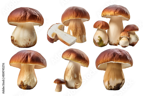 A set of fresh boletus mushrooms isolated with transparent background