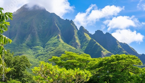 view tropical hawaiian peaks illustration background vacation beautiful natural tourism oahu view tropical hawaiian peaks