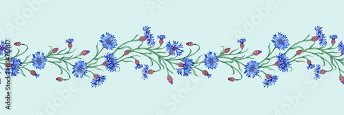 Cornflowers flowers horizontal pattern on blue background watercolor illustration. Botanical composition element isolated from background. Suitable for cosmetics  aromatherapy  medicine  treatment 