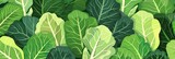 This vibrant illustration of bok choy, with its deep greens and soft highlights, is ideal for use in nutritional guides, health food promotions, and vegetarian cuisine visuals.