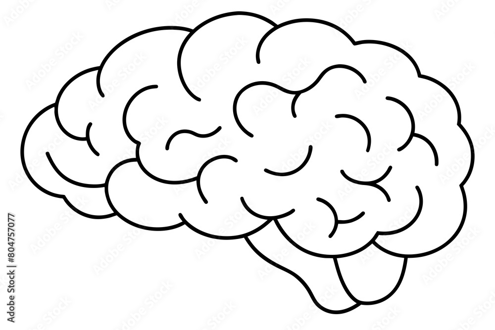 brain line art silhouette illustration brain line art silhouette illustration