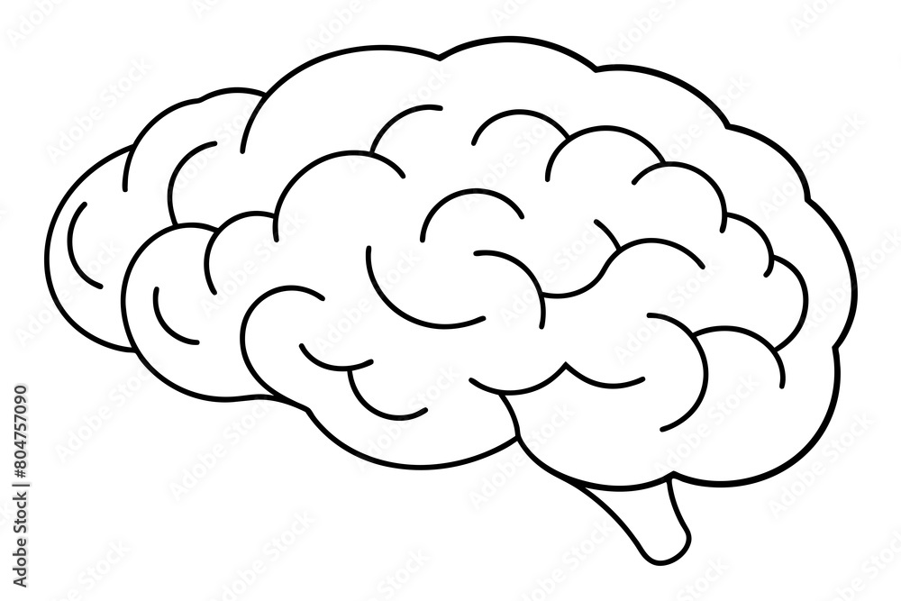 brain line art silhouette illustration brain line art silhouette illustration