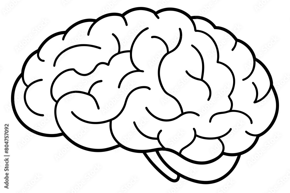 brain line art silhouette illustration brain line art silhouette illustration