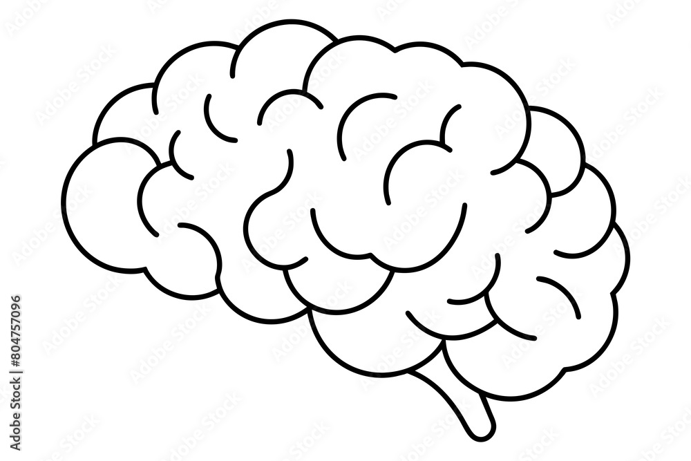 brain line art silhouette illustration brain line art silhouette illustration