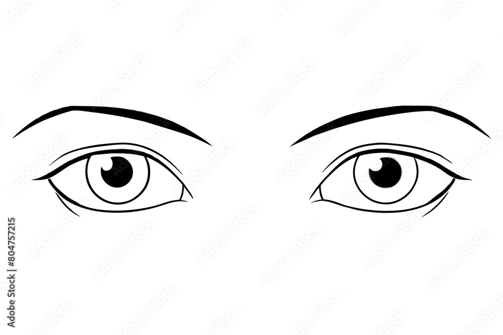 eyes line art silhouette illustration eyes line art silhouette illustration