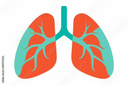 lungs vector illustration