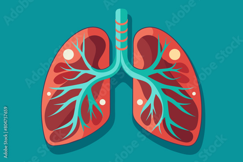 lungs vector illustration