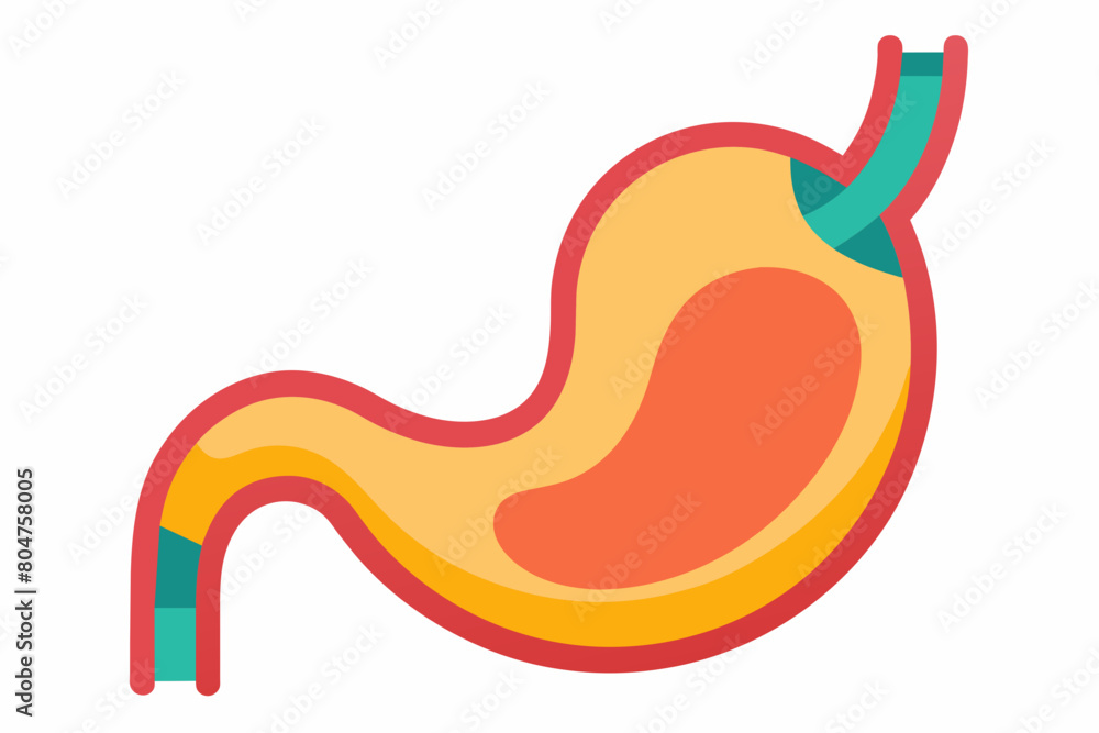 stomach vector illustration stomach vector illustration