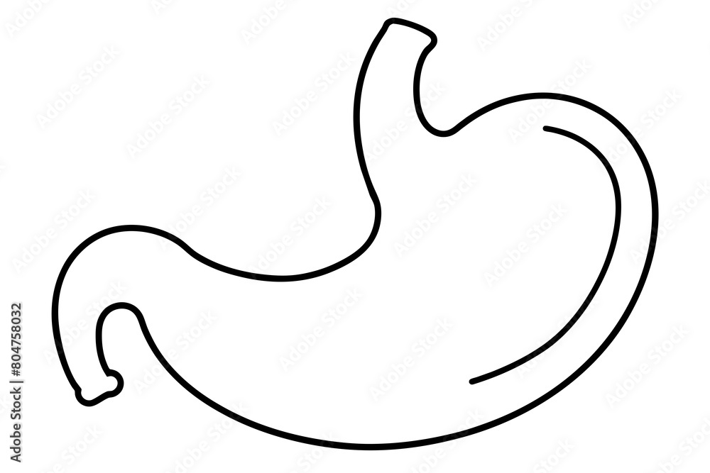 stomach line art silhouette illustration stomach line art silhouette illustration