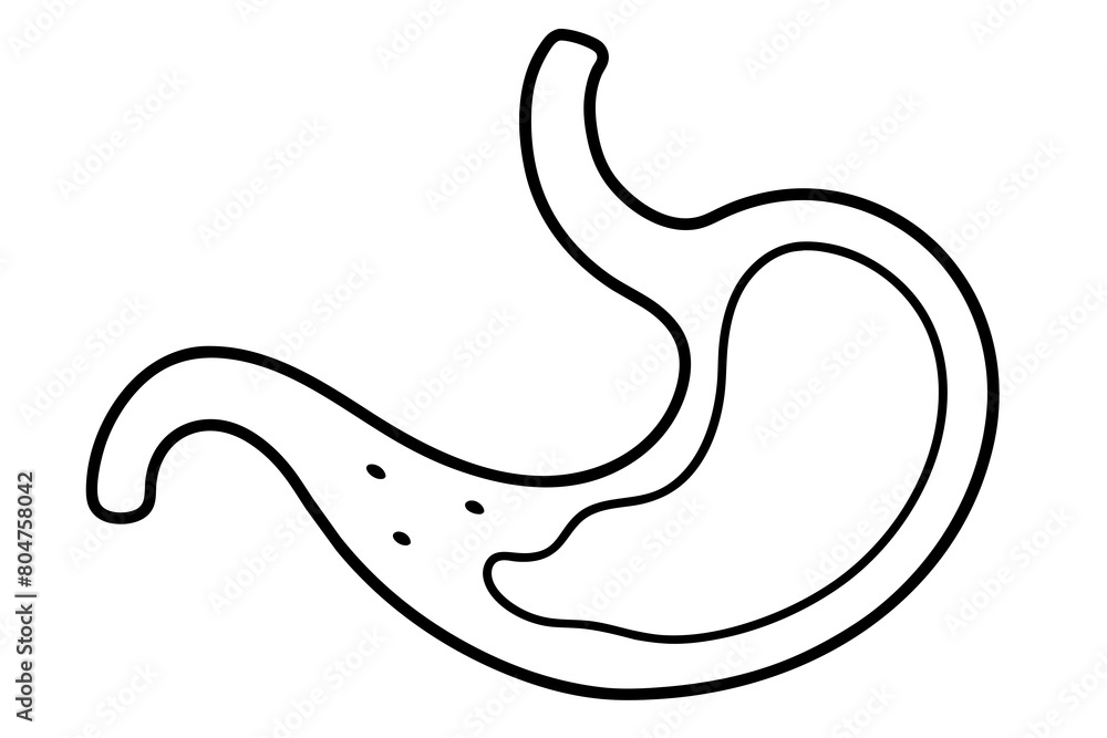 stomach line art silhouette illustration stomach line art silhouette illustration