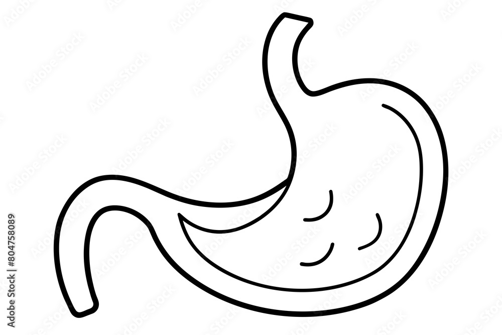 stomach line art silhouette illustration stomach line art silhouette illustration