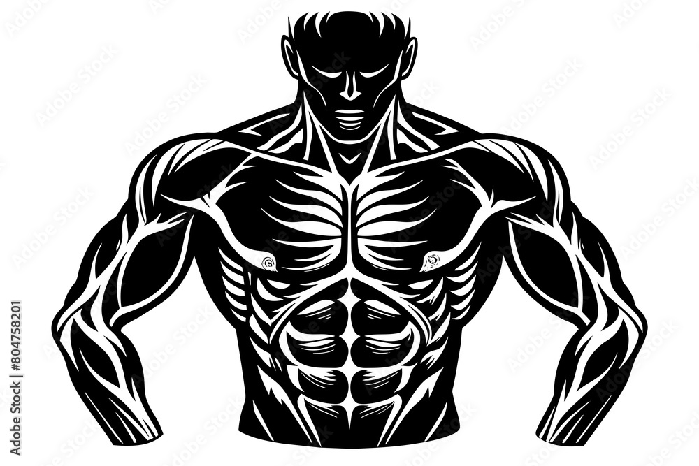 torso line art silhouette illustration torso line art silhouette illustration