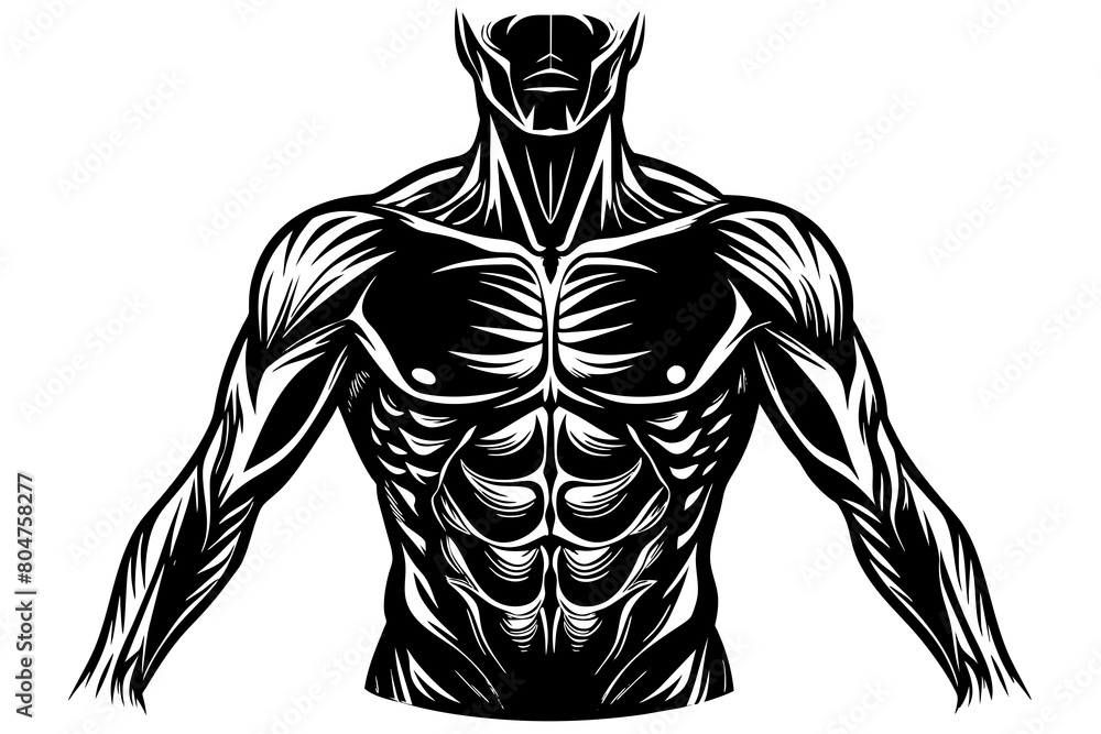 torso line art silhouette illustration torso line art silhouette illustration
