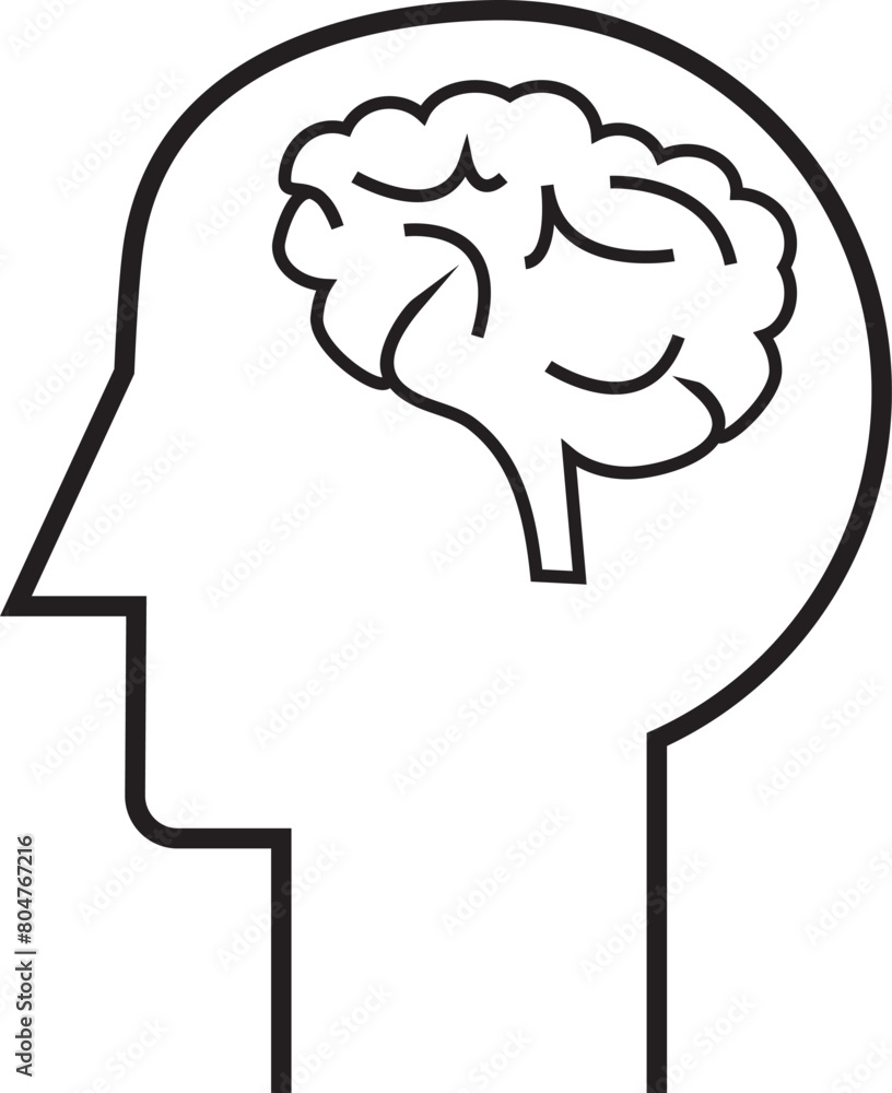 Illustration of the human head icon showing the internal organs of the brain Illustration of the human head icon showing the internal organs of the brain