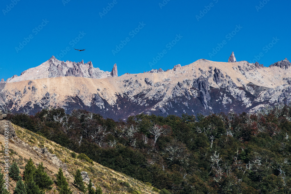 The Condor, Lord of the Andes