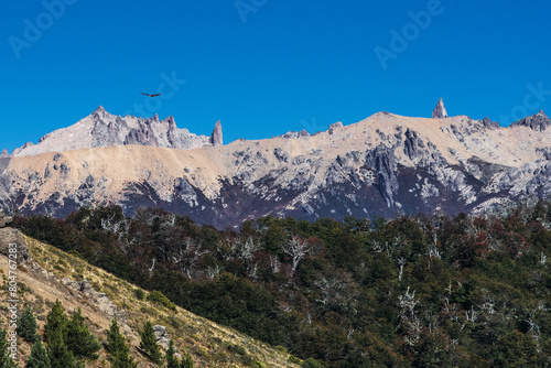 The Condor, Lord of the Andes