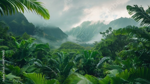 Lush tropical forest with misty mountains in the background under cloudy skies.
