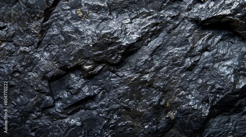 Detailed texture of black rock with natural patterns and slight sheen.