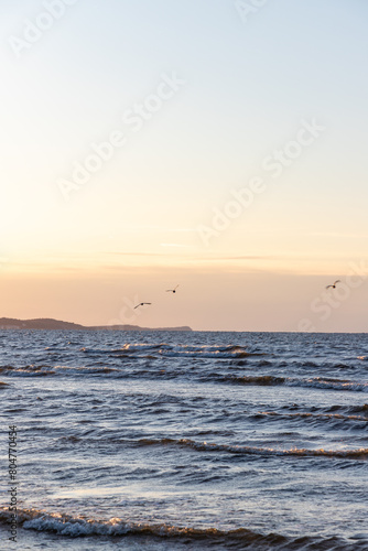 coast in Swinoujscie in Poland in spring