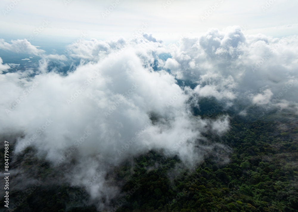Aerial view flowing fog waves on mountains tropical rainforest,Bird eye view image over the clouds, Amazing nature background with clouds and mountains peaks in Thailand