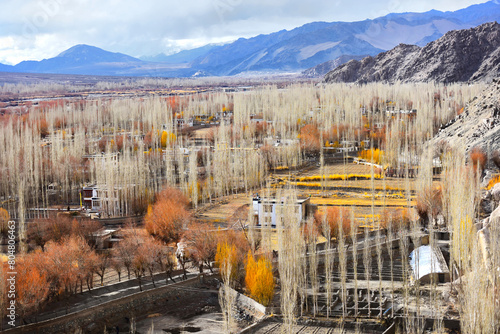 Colorful landscape of the winter in the city of Leh, Ladkh, India. photo