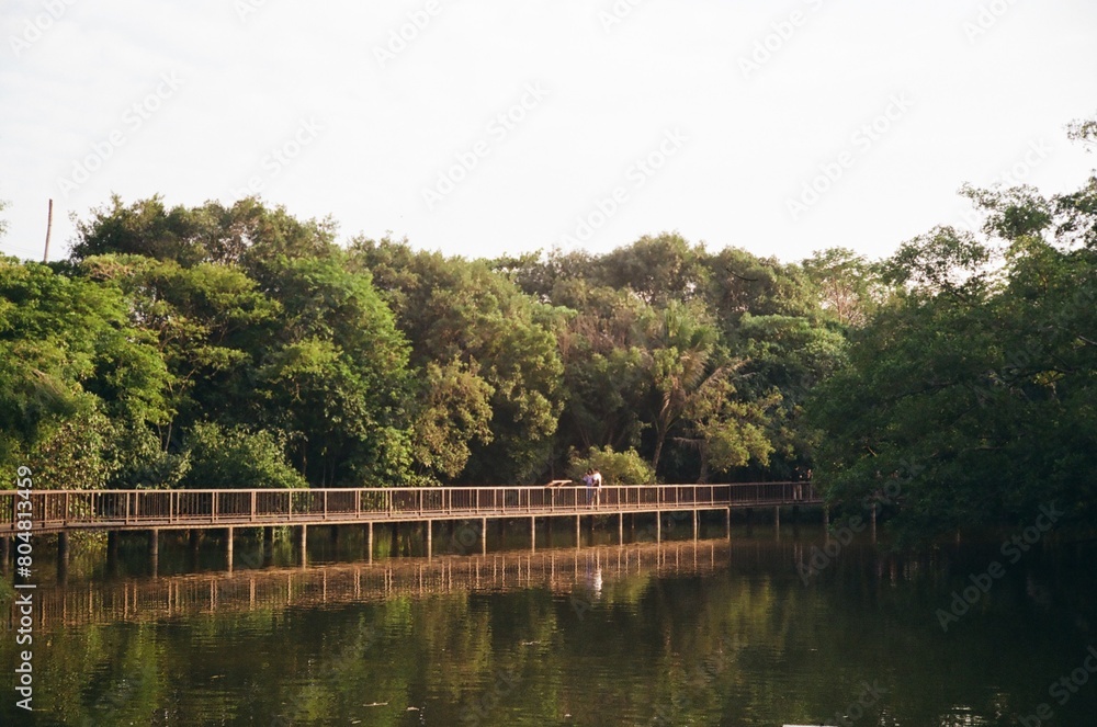 Fototapeta premium Bridge on the lake