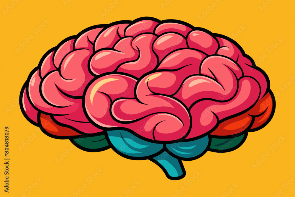 brain vector illustration brain vector illustration