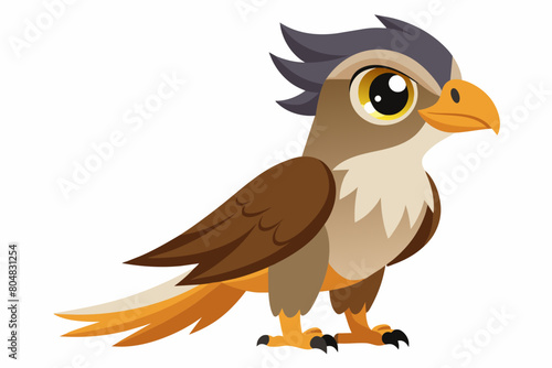 falconet cartoon vector illustration © Shiju Graphics