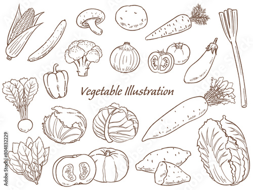 手描きの野菜のセット線画_ベクターイラスト