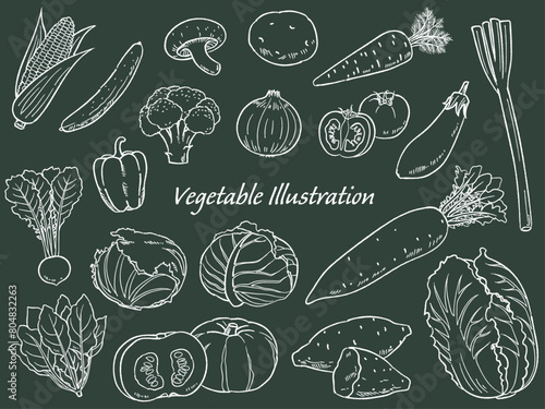 手描きの野菜のセット線画_黒板風_ベクターイラスト
