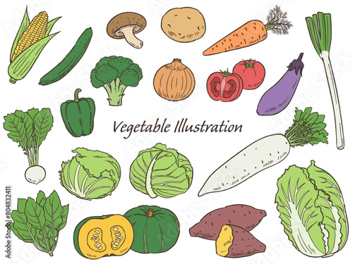 手描きの野菜のセット線画_ベクターイラスト
