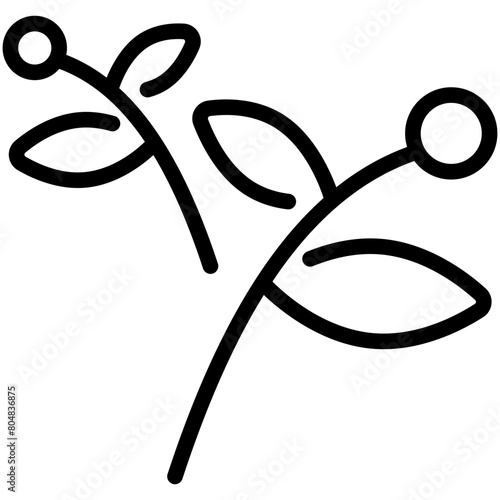 herbal line icon