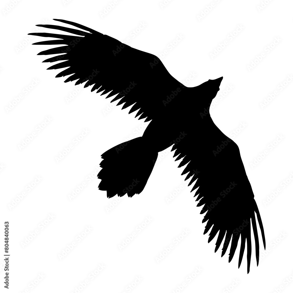 black silhouette of a crow black silhouette of a crow