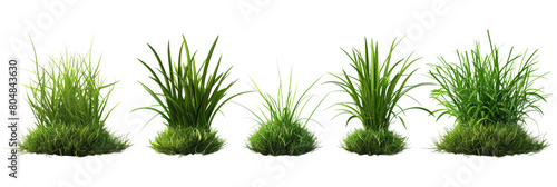 set of multiple grass png