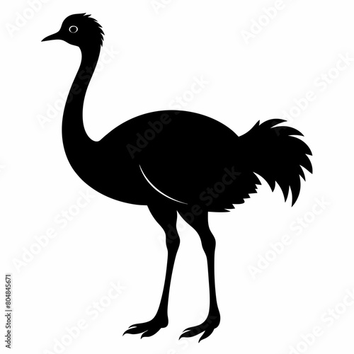 Ostrich vector silhouette illustration isolated on a white background. 