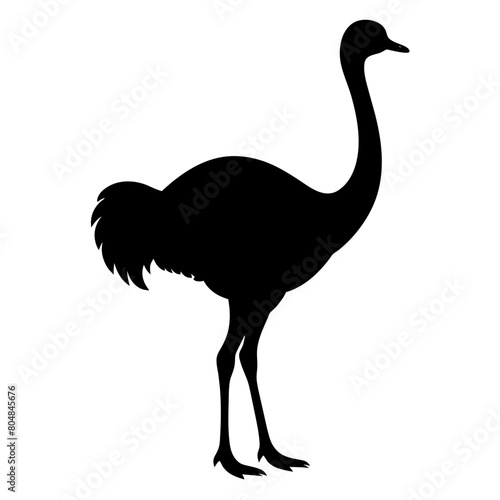 Ostrich vector silhouette illustration isolated on a white background. 