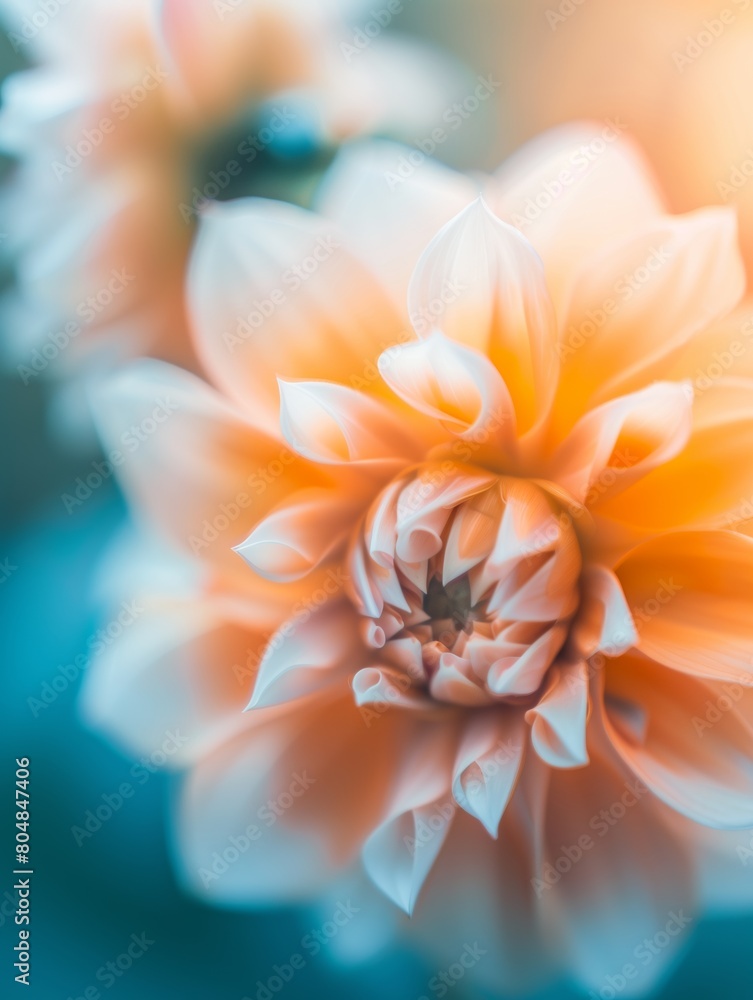 Photo of blooming Dahlia flowers in teal and orange technique with a blurry bokeh background, AI generated