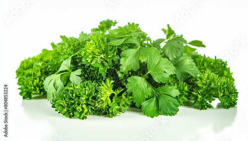 Isolated white background of fresh green vegan vitamin parsley photo