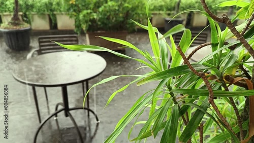 Rainy view in a courtyard where you can eat