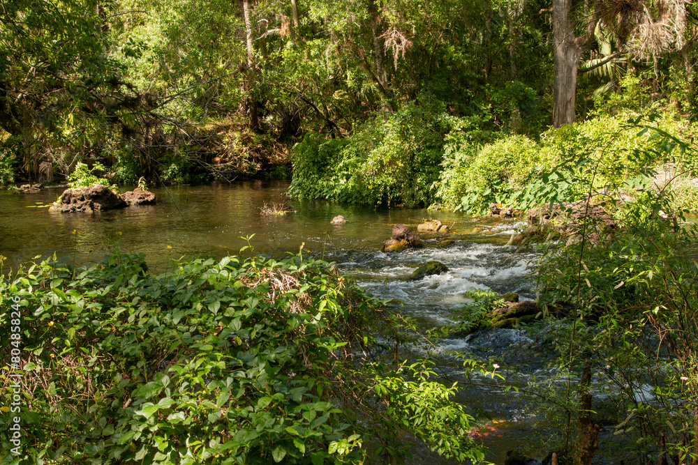 HillsboroughRiverStatePark_0011 HillsboroughRiverStatePark_0011