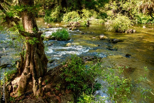 HillsboroughRiverStatePark_009