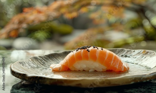 Succulent Salmon Nigiri Sushi on Artisanal Plate Amidst Nature