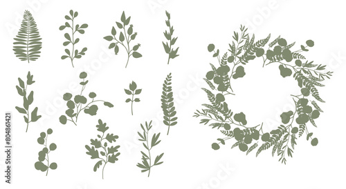 Set of leaves  tree branches and herbs. Wreath. Elegant silhouettes of plants. Vector illustration isolated on white background.