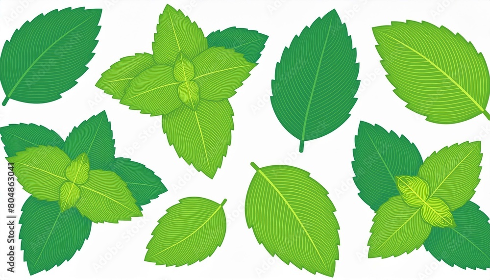 Set of fresh mint leaves on white background. Set of fresh mint leaves on white background.