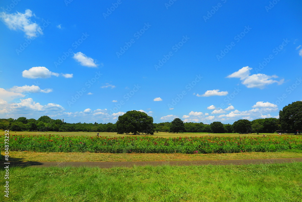 Obraz premium 広い芝生と花畑と大きな木の風景1